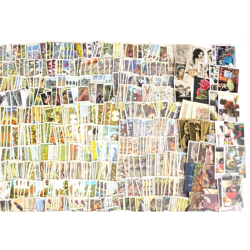 1795 - Extensive collection of cigarette cards including Brooke Bond Asian Wildlife, Carreras Film Stars an... 