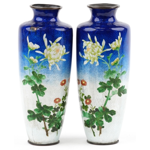 509 - Pair of Japanese blue and white ground cloisonne vases enamelled with flowers, each 24.5cm high