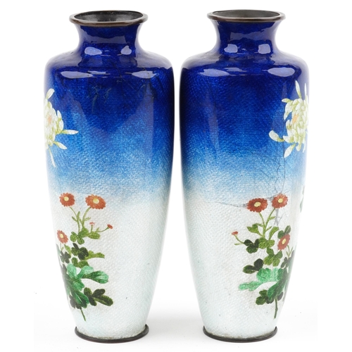 509 - Pair of Japanese blue and white ground cloisonne vases enamelled with flowers, each 24.5cm high