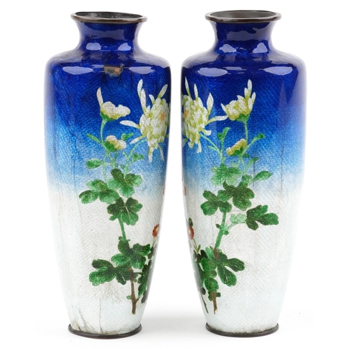 509 - Pair of Japanese blue and white ground cloisonne vases enamelled with flowers, each 24.5cm high