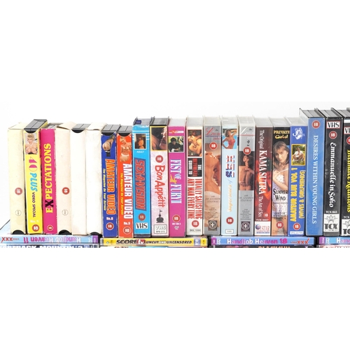 1377 - Large collection of vintage and later adult DVDs and VHS cassettes including Home Made Jerky Boys, B... 