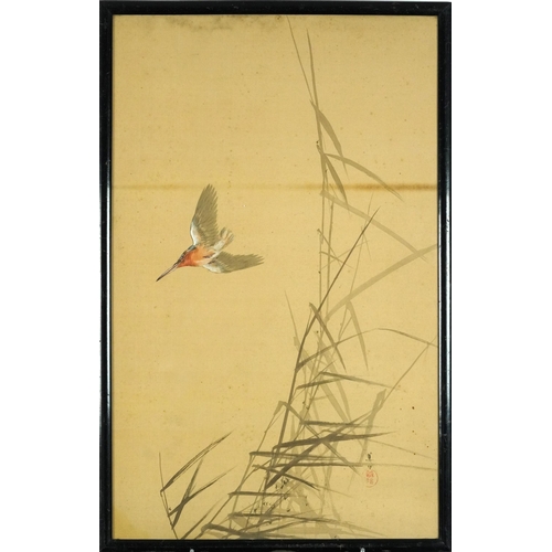 126 - Kingfisher amongst reeds, Japanese heightened watercolour on silk, signed with calligraphy and red s... 