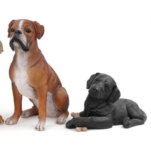 1292 - Four large decorative model dogs including Sandicast Labrador pup and Hotant Jack Russell 46cms high