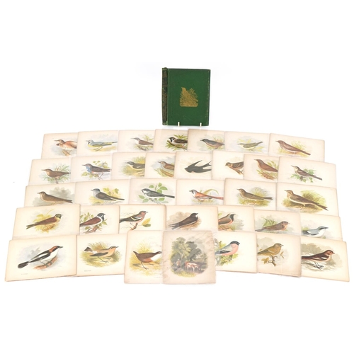 722 - Collection of coloured songbird engravings and an Our Native Songsters book binding