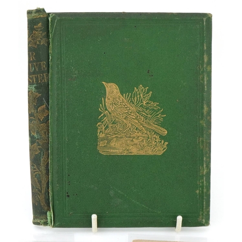 722 - Collection of coloured songbird engravings and an Our Native Songsters book binding