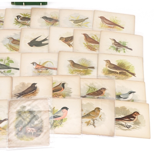 722 - Collection of coloured songbird engravings and an Our Native Songsters book binding