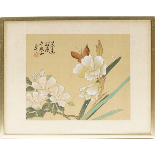 207 - Birds and butterflies amongst flowers, four Chinese watercolours onto silk, each with calligraphy an... 