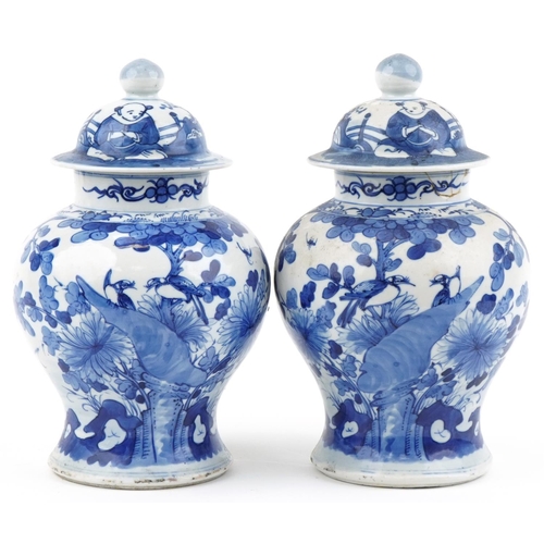 2 - Pair of 18th century Chinese blue and white ginger jars hand painted with birds amongst flowers and ... 