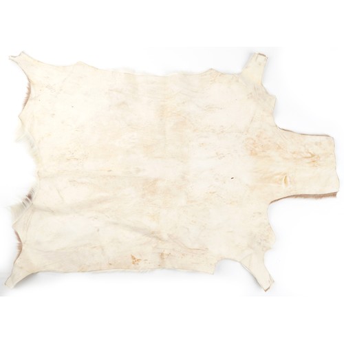 525 - Contemporary animal hide rug, 103cm in length