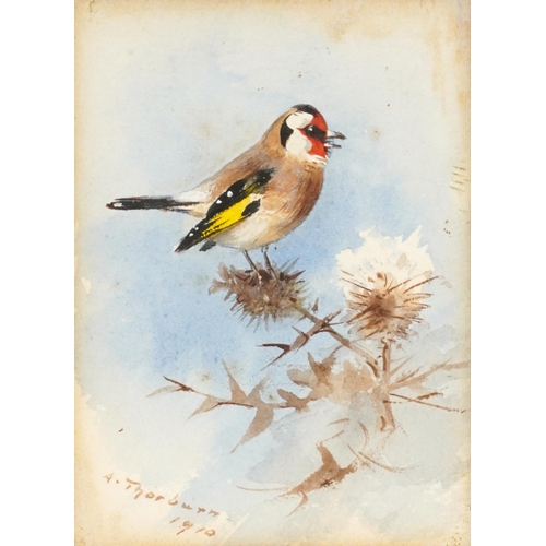 53 - Archibald Thorburn - Goldfinch on a thistle, watercolour, New Year card sent to me by Archibald Thor... 