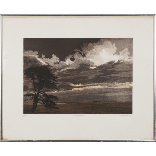 177 - Phil Greenwood - White Sun and Border Country, two pencil signed etchings and aquatints with Christi... 