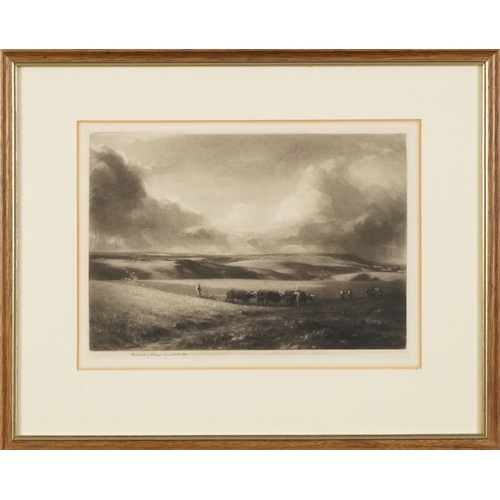 353 - Norman Hirst - Ploughing in a field with Oxon , pencil signed mezzotint, copyright published August ... 