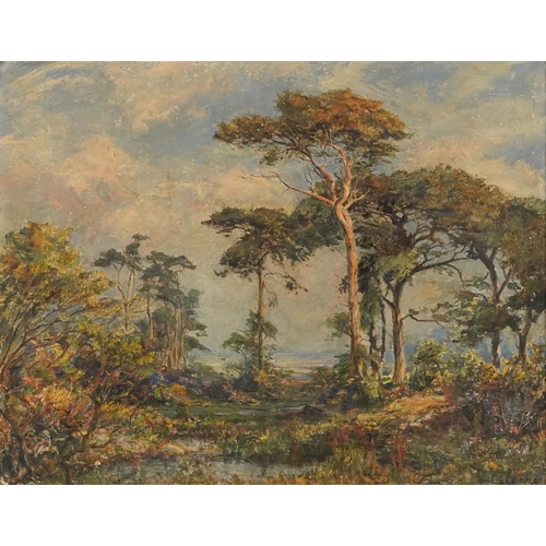 349 - L Colberne ?- Wooded trees and landscape, oil on board in a gilt frame, 57cm x 44cm excluding the fr... 