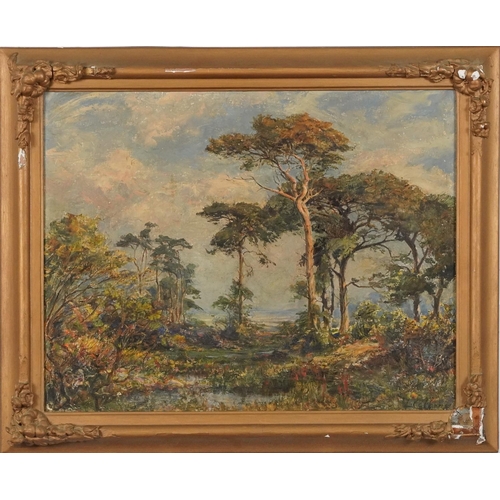 349 - L Colberne ?- Wooded trees and landscape, oil on board in a gilt frame, 57cm x 44cm excluding the fr... 