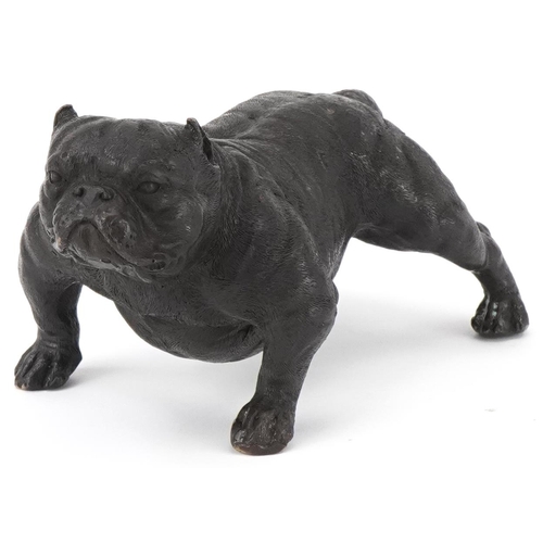 295 - Patinated bronze study of a British Bulldog, 20cm in length