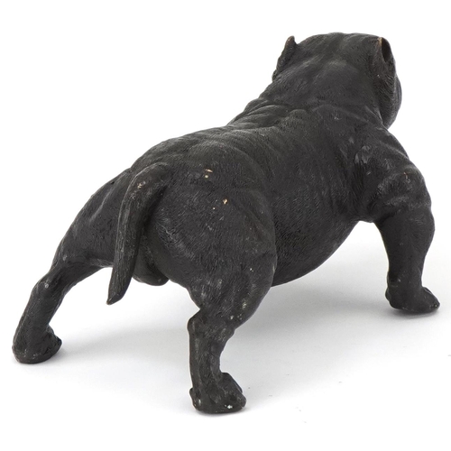 295 - Patinated bronze study of a British Bulldog, 20cm in length