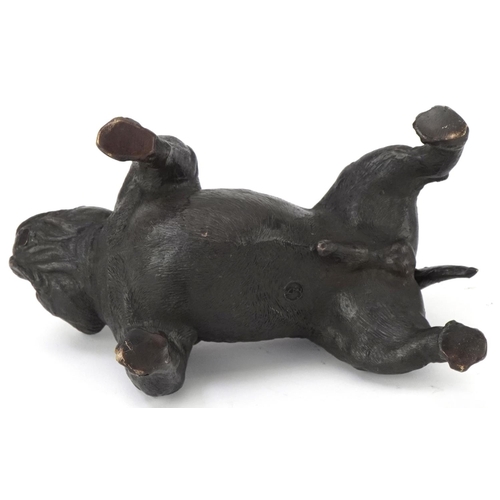 295 - Patinated bronze study of a British Bulldog, 20cm in length