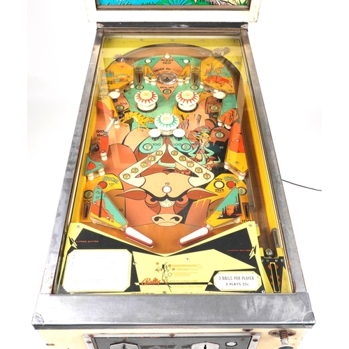 1493 - Vintage Trail Drive pinball machine by Bally, 180cm H x 61cm W x 133cm D