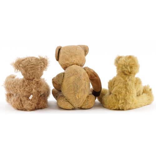 610 - Three vintage and later golden teddy bears with jointed limbs, the largest 38cm high