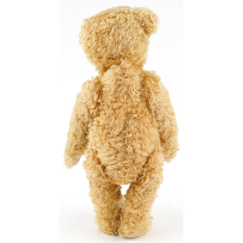 604 - Large Steiff golden teddy bear with jointed limbs numbered 404153, 60cm high