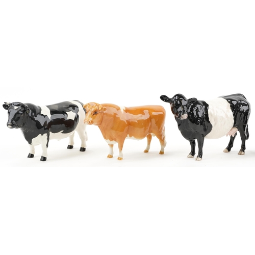 1052 - Six Beswick cows including Champion Coddington Hilt Bar, Champion Dunsley Coy Boy and Champion Sabri... 