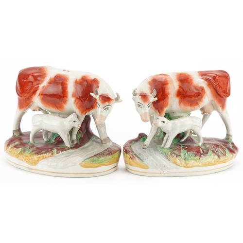 Pair of Victorian hand painted Staffordshire pottery groups of cows and calves, each 19cm high