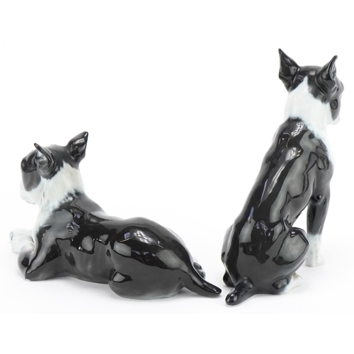 1049 - Two Rosenthal porcelain models of French Bulldogs, the largest 18cm high