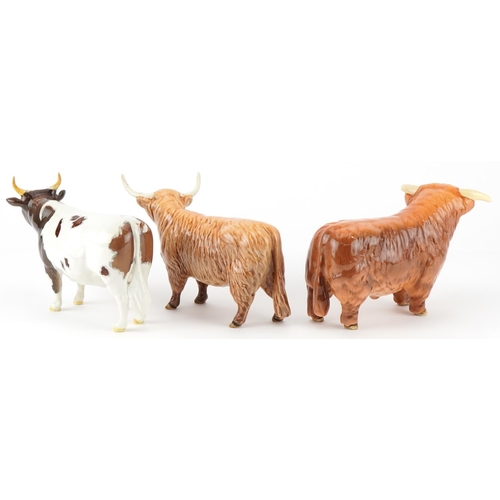 1056 - Two Beswick Highland cattle and a Beswick Champion Whitehill Mandate, the largest 19cm in length