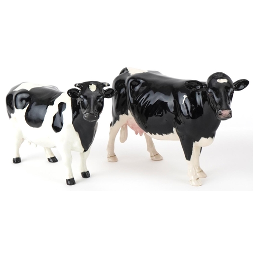 1055 - Five Beswick cows including champions, the largest 20cm in length