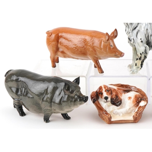 1058 - Royal Doulton animals including seated Bulldogs, pigs and a Setter dog, the largest 21cm in length