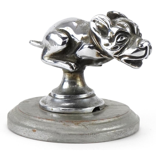 1930s Telcote Pup chromed car mascot hood ornament, 10cm in length