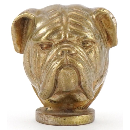 1462 - Bronzed British Bulldog car mascot hood ornament, 7.5cm high