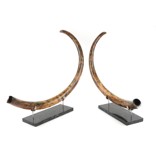 243 - Very rare pair of taxidermy interest Woolly Mammoth Tusks from Siberia which have been professionall... 