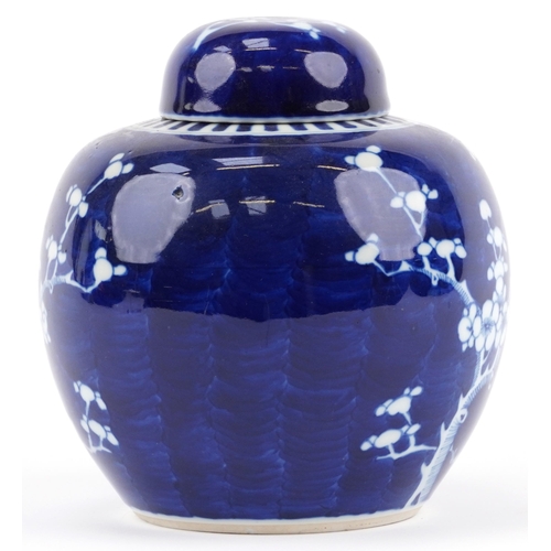 67 - Chinese porcelain Prunus pattern ginger jar, 20cm high