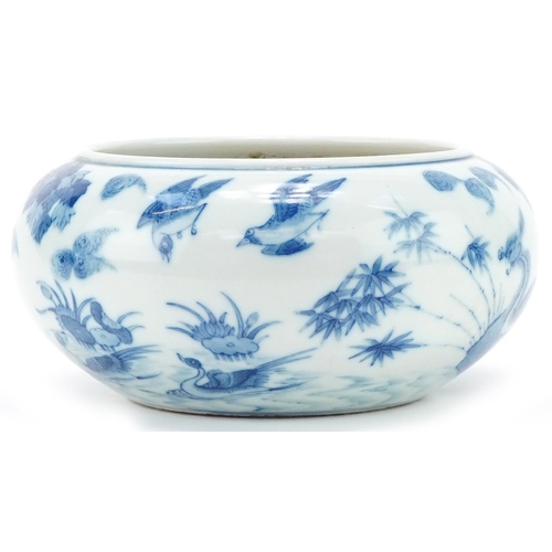 283 - Chinese porcelain blue and white bowl decorated with birds in a landscape, character mark to the bas... 