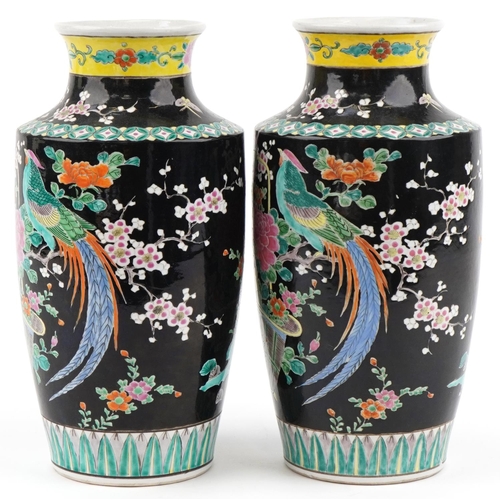 345 - Large pair of Chinese porcelain black enamelled vases decorated with birds of paradise and flowers, ... 