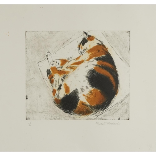 1306 - Elizabeth Blackadder - Ginger cat, pencil signed etching, mounted and framed, 35cm x 28cm