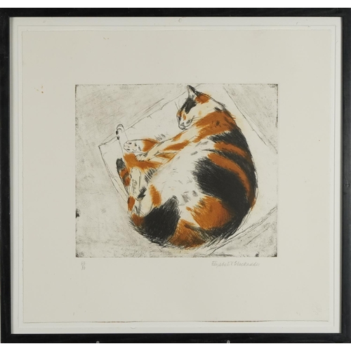 1306 - Elizabeth Blackadder - Ginger cat, pencil signed etching, mounted and framed, 35cm x 28cm