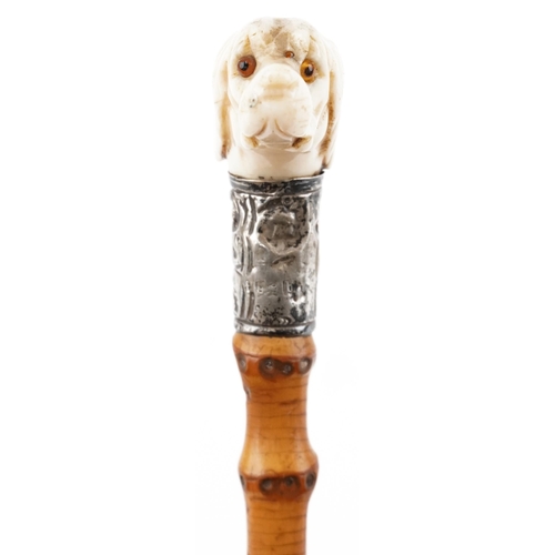 244 - Bamboo and carved bone dog's head walking cane with beaded glass eyes and silver band, 90cm in lengt... 