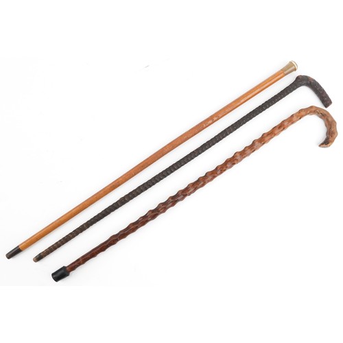 250 - Horn topped Malacca cane walking stick and two carved wooden walking sticks, the largest 90cm in len... 