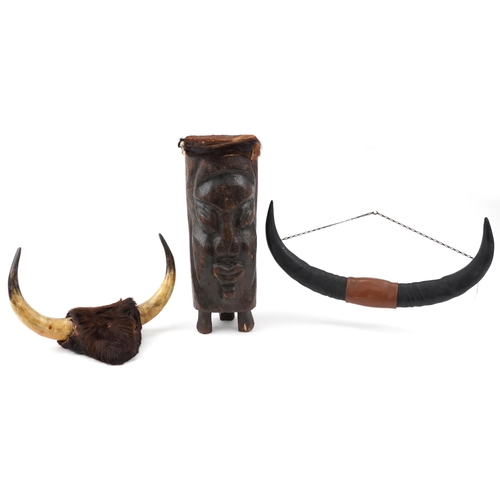 1169 - Two pairs of taxidermy interest buffalo horns and an African carved wood and skin drum, the largest ... 