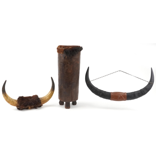 1169 - Two pairs of taxidermy interest buffalo horns and an African carved wood and skin drum, the largest ... 