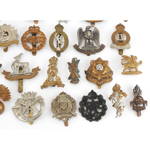 1519 - Approximately forty military cap badges to include Royal Warwickshire, Cornwall Light Infantry, Dors... 