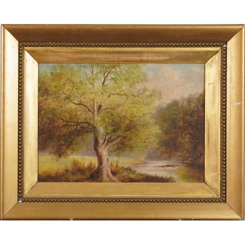 443 - A H Bibbs 1890 - Tree before a river at Old Storridge, oil on board, gilt framed, 34cm x 24cm