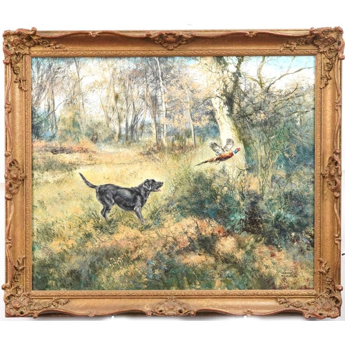 55 - Henry Wilkinson 1921-2011 - Black hunting dog and pheasant in landscape in wood, oil on canvas, cont... 