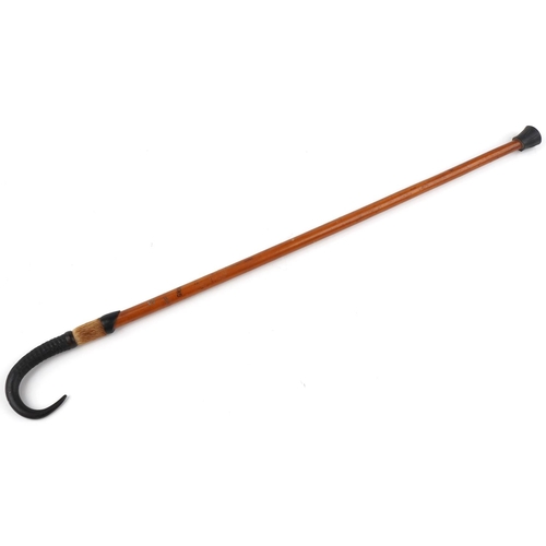 251 - Swiss malacca hiking walking stick with hoof and horn handle engraved Grindelwald, 80cm in length