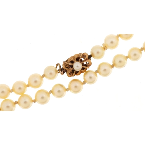 3541 - Cultured pearl necklace with 9ct gold clasp housed in a Davidsons Manchester jeweller's box, each pe... 