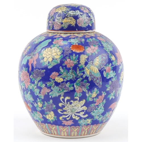 2171 - Large Chinese porcelain ginger jar and cover hand painted with butterflies amongst flowers, 32cm hig... 