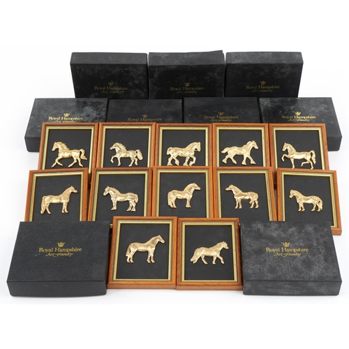 2274 - Twelve Royal Hampshire gilt brass horse wall plaques with boxes, each overall 14cm x 11cm