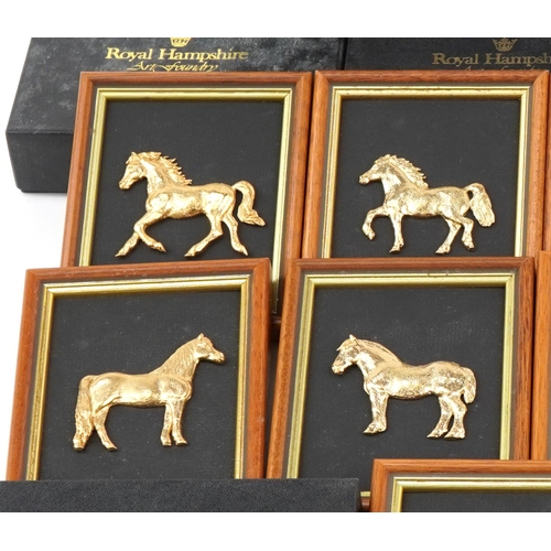 2274 - Twelve Royal Hampshire gilt brass horse wall plaques with boxes, each overall 14cm x 11cm